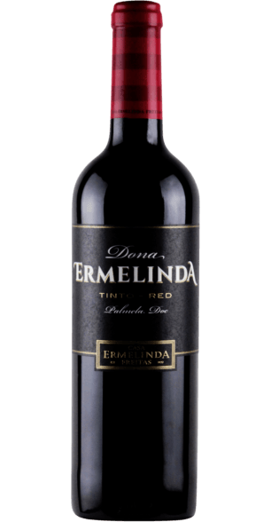 CASA ERMELINDA FREITAS DONA TERMELINDA RED WINE RESERVA PORTUGAL 2019 WINE