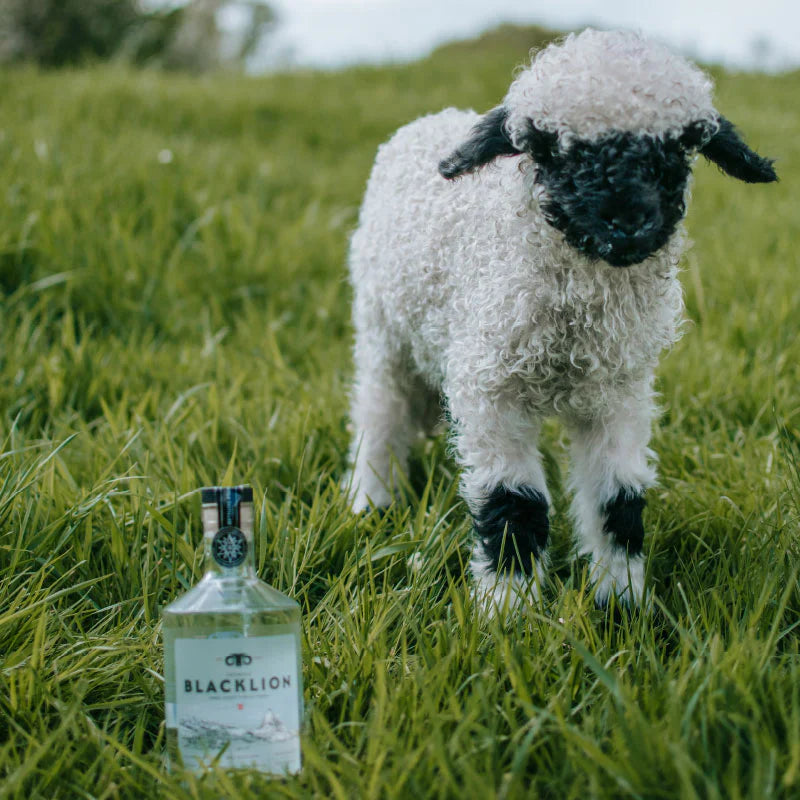 BLACKLION VODKA RARE SHEEPS MILK UNITED KINGDOM 700ML LIQ