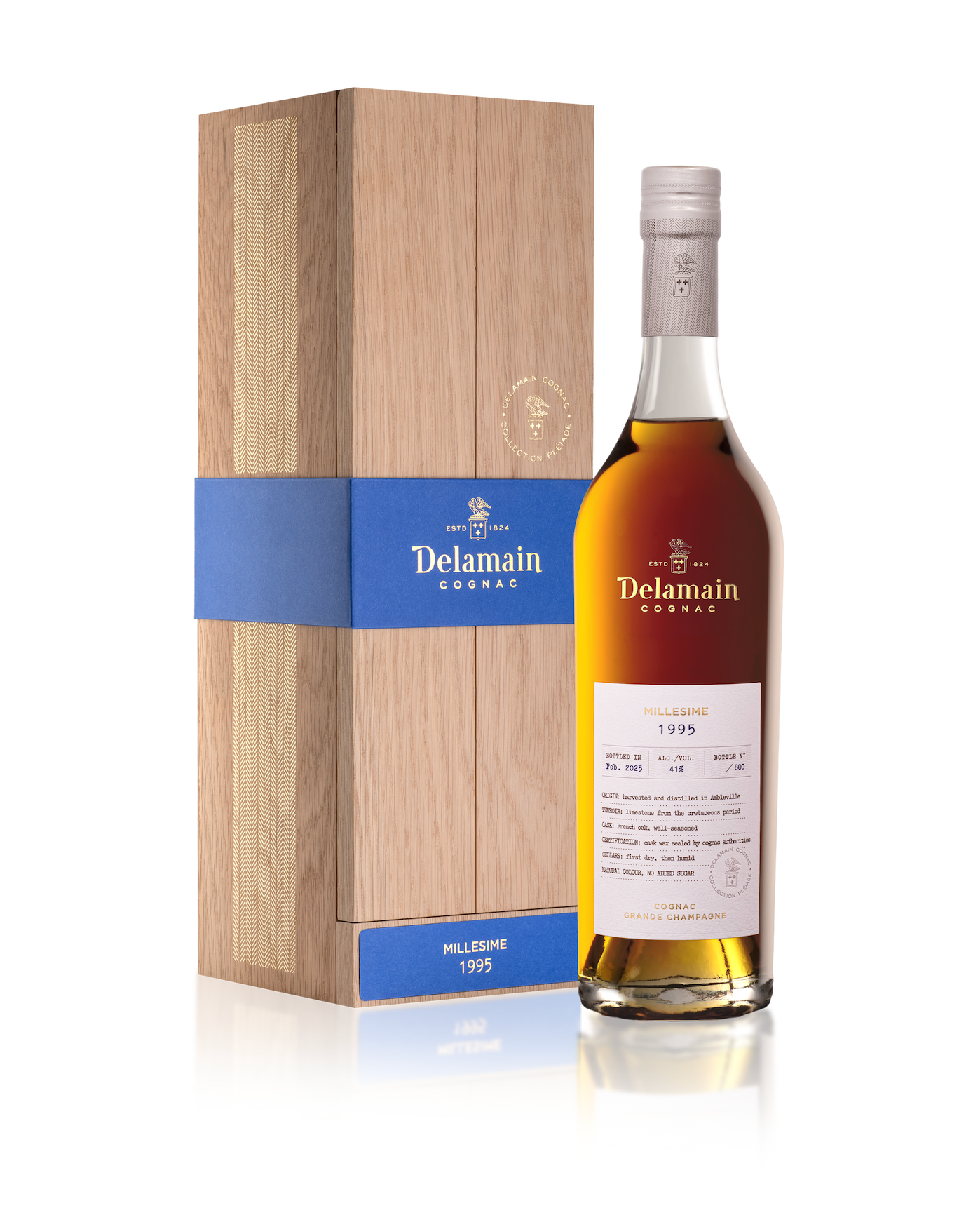 DELAMAIN COGNAC VINTAGE 1995 GRANDE CHAMPAGNE 700ML LIQ