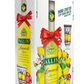 PALLINI LIMONCELLO LIQUEUR GFT PK CAMPANIA ITALY 750ML Spirits