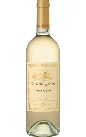 SANTA MARGHERITA PINOT GRIGIO VALDADIGE ITALY 2024 Wine